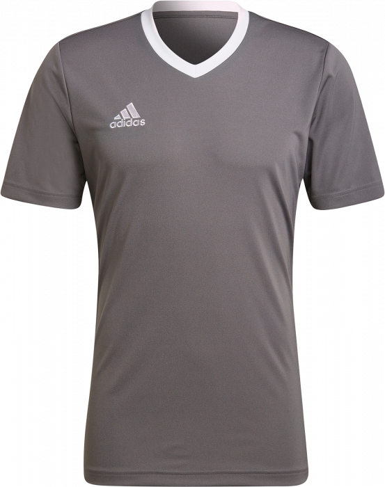 Adidas - Entrada 22 Jersey - Grey four & weiß